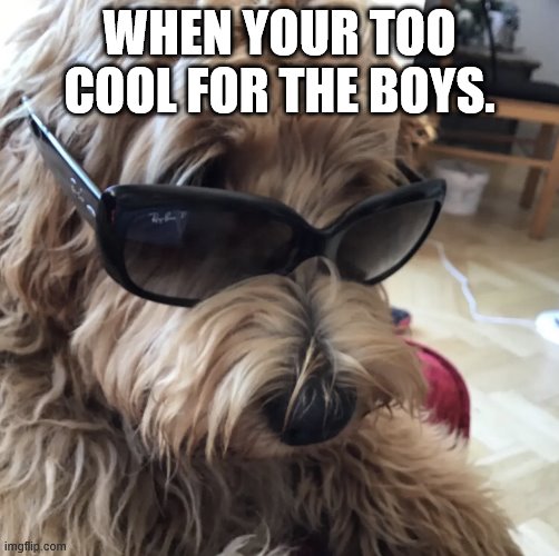 When your to cool for the boys. | WHEN YOUR TOO COOL FOR THE BOYS. | image tagged in when your to cool for the boys | made w/ Imgflip meme maker