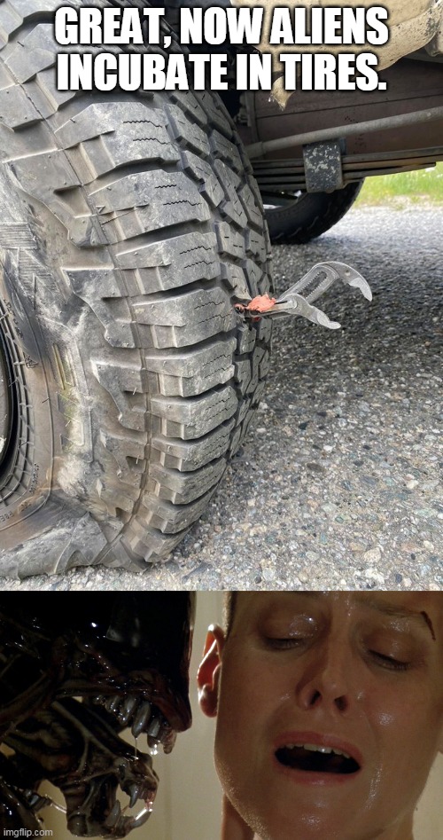 2020 wtf | GREAT, NOW ALIENS INCUBATE IN TIRES. | image tagged in alien movie scene,tires,channelock,knipex,pliers,2020 sucks | made w/ Imgflip meme maker