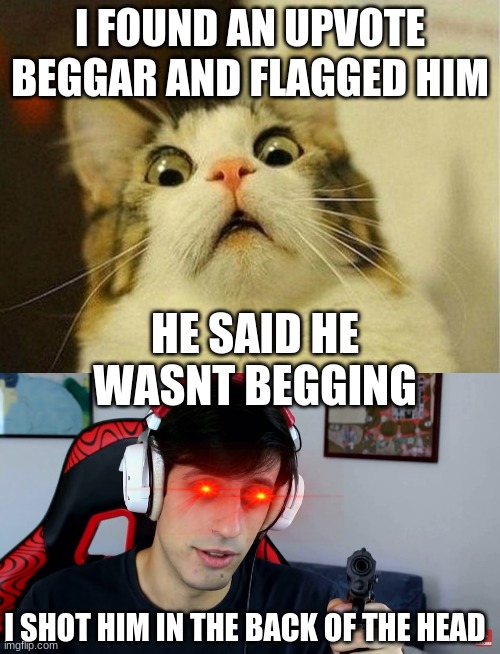 i didnt shoot but i wish i did | I FOUND AN UPVOTE BEGGAR AND FLAGGED HIM; HE SAID HE WASNT BEGGING; I SHOT HIM IN THE BACK OF THE HEAD | image tagged in memes,scared cat,davie504,guns,cats with guns | made w/ Imgflip meme maker