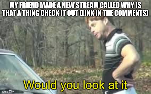 Plz look at it | MY FRIEND MADE A NEW STREAM CALLED WHY IS THAT A THING CHECK IT OUT (LINK IN THE COMMENTS); Would you look at it | image tagged in just look at it | made w/ Imgflip meme maker