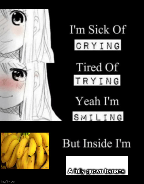 I'm Sick Of Crying | A fully grown banana | image tagged in i'm sick of crying,memes | made w/ Imgflip meme maker