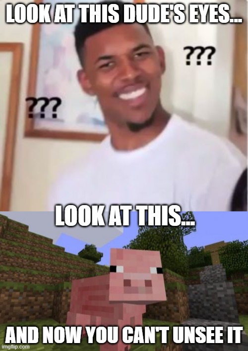 Now you can't unsee this! | LOOK AT THIS DUDE'S EYES... LOOK AT THIS... AND NOW YOU CAN'T UNSEE IT | image tagged in minecraft pig,nick young,can't unsee,memes | made w/ Imgflip meme maker