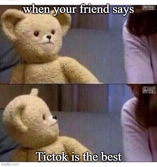 Wait what?? | when your friend says; Tictok is the best | image tagged in wait what | made w/ Imgflip meme maker