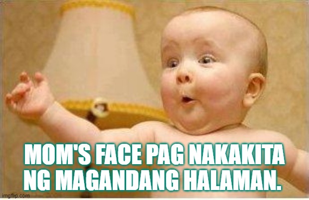 Excited Baby | MOM'S FACE PAG NAKAKITA NG MAGANDANG HALAMAN. | image tagged in excited baby | made w/ Imgflip meme maker