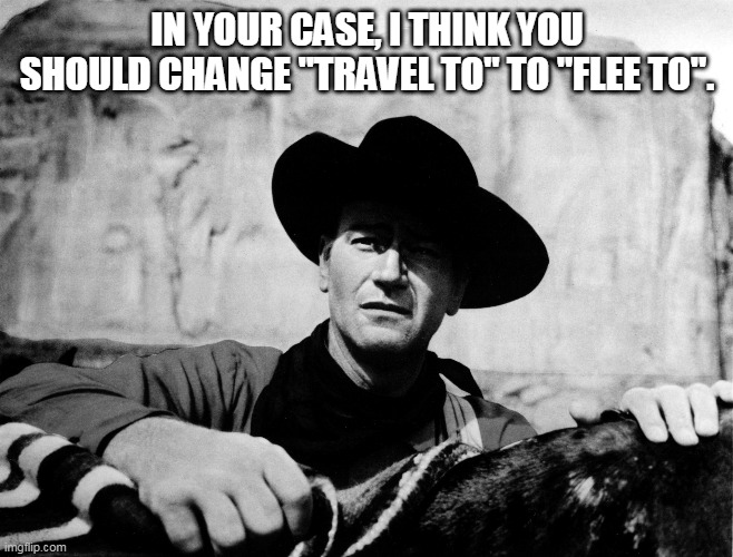 IN YOUR CASE, I THINK YOU SHOULD CHANGE "TRAVEL TO" TO "FLEE TO". | made w/ Imgflip meme maker