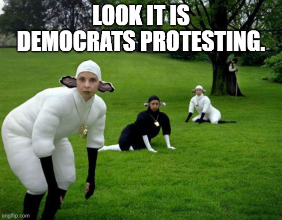 They are sheep being led by the sheep dogs like George Soros. | LOOK IT IS DEMOCRATS PROTESTING. | image tagged in sheeple,democrats,george soros | made w/ Imgflip meme maker
