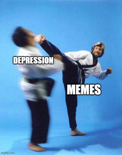memes will always never be beaten | DEPRESSION; MEMES | image tagged in roundhouse kick chuck norris | made w/ Imgflip meme maker