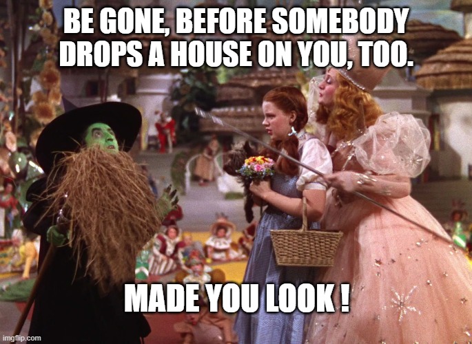 BE GONE, BEFORE SOMEBODY DROPS A HOUSE ON YOU, TOO. MADE YOU LOOK ! | image tagged in wizard of oz | made w/ Imgflip meme maker
