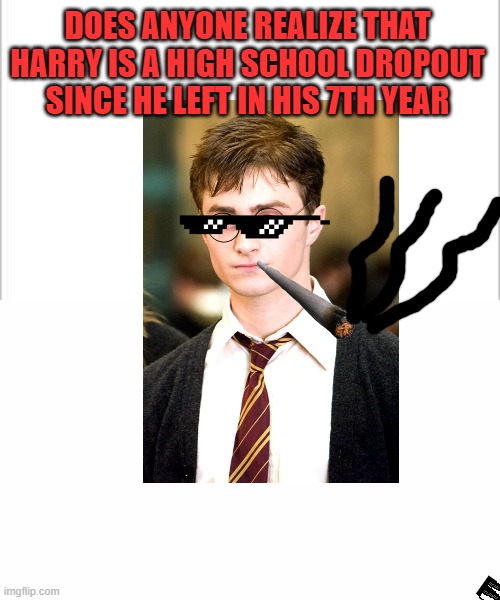 stay in school | DOES ANYONE REALIZE THAT HARRY IS A HIGH SCHOOL DROPOUT SINCE HE LEFT IN HIS 7TH YEAR | image tagged in white background | made w/ Imgflip meme maker