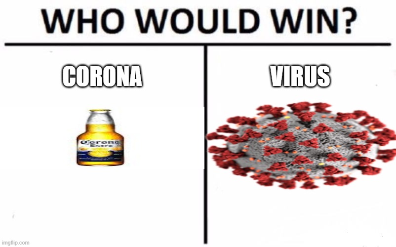 covid memes that keep me safe | CORONA; VIRUS | image tagged in memes,who would win | made w/ Imgflip meme maker