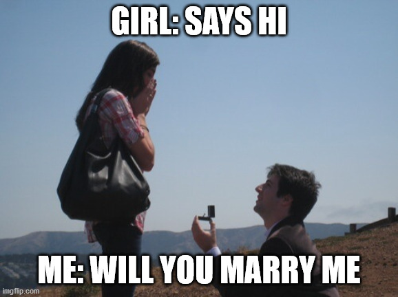 Marriage proposal | GIRL: SAYS HI; ME: WILL YOU MARRY ME | image tagged in marriage proposal | made w/ Imgflip meme maker