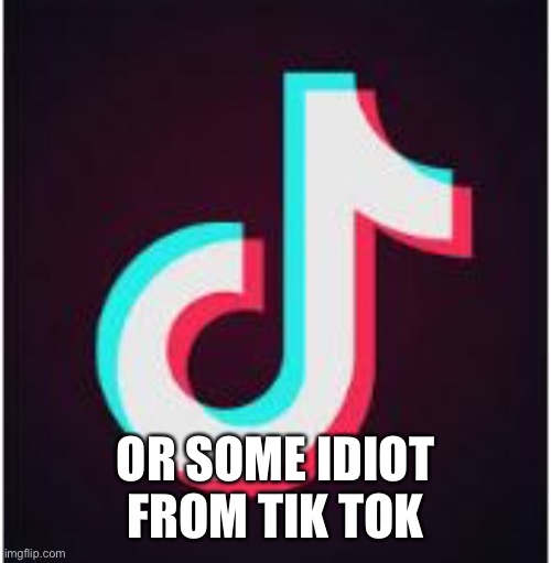 Tik Tok | OR SOME IDIOT FROM TIK TOK | image tagged in tik tok | made w/ Imgflip meme maker