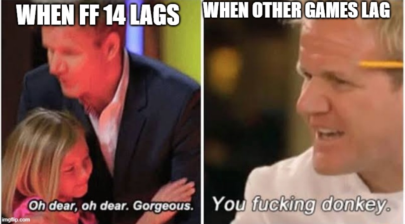 Gordon Ramsay kids vs adults | WHEN OTHER GAMES LAG; WHEN FF 14 LAGS | image tagged in gordon ramsay kids vs adults | made w/ Imgflip meme maker