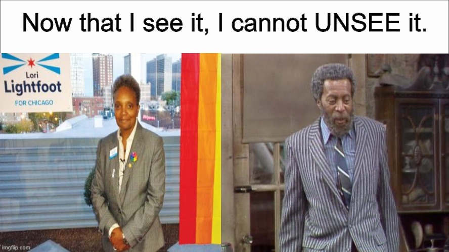 Has anyone else noticed? | Now that I see it, I cannot UNSEE it. | image tagged in memes,lori lightfoot,sanford and son,separated at birth | made w/ Imgflip meme maker