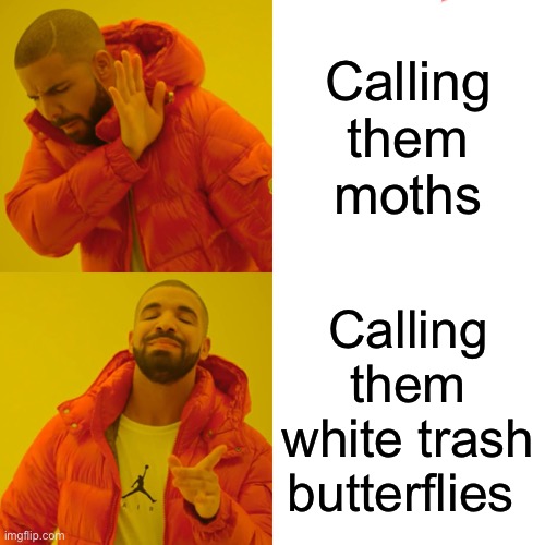 Drake Hotline Bling Meme | Calling them moths; Calling them white trash butterflies | image tagged in memes,drake hotline bling | made w/ Imgflip meme maker