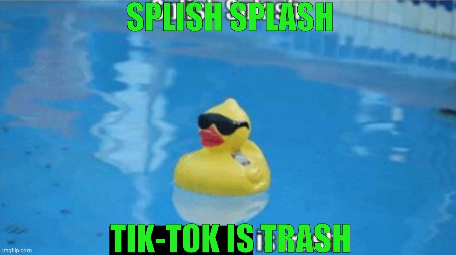 tik tok sux lol | SPLISH SPLASH; TIK-TOK IS TRASH | image tagged in splish splash,memes | made w/ Imgflip meme maker
