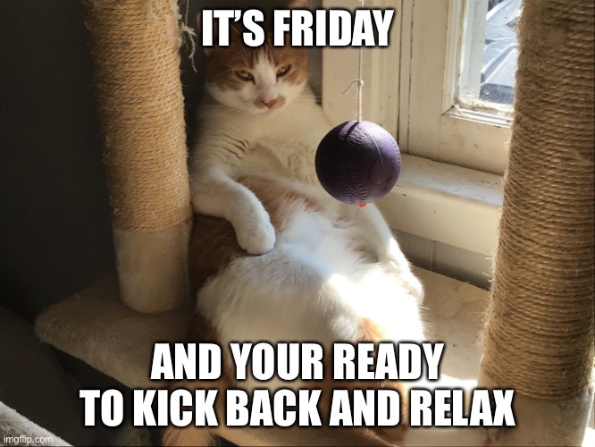 It’s Friday | IT’S FRIDAY; AND YOUR READY TO KICK BACK AND RELAX | image tagged in funny | made w/ Imgflip meme maker