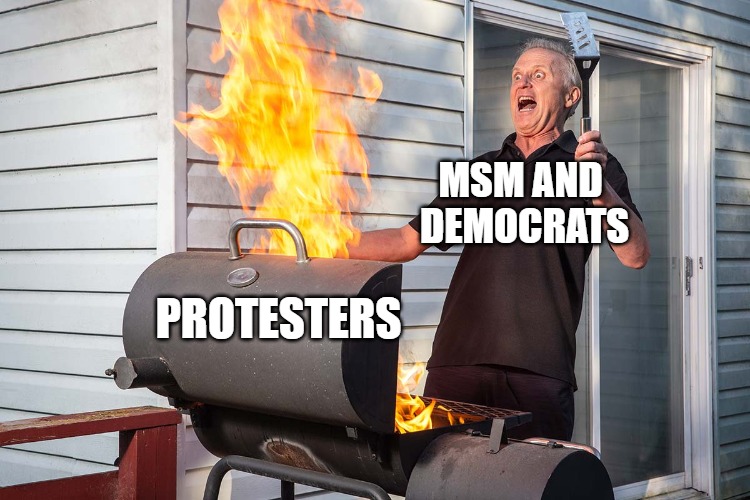What They Do | MSM AND 
DEMOCRATS; PROTESTERS | image tagged in protests,memes,fun,funny,2020,msm | made w/ Imgflip meme maker