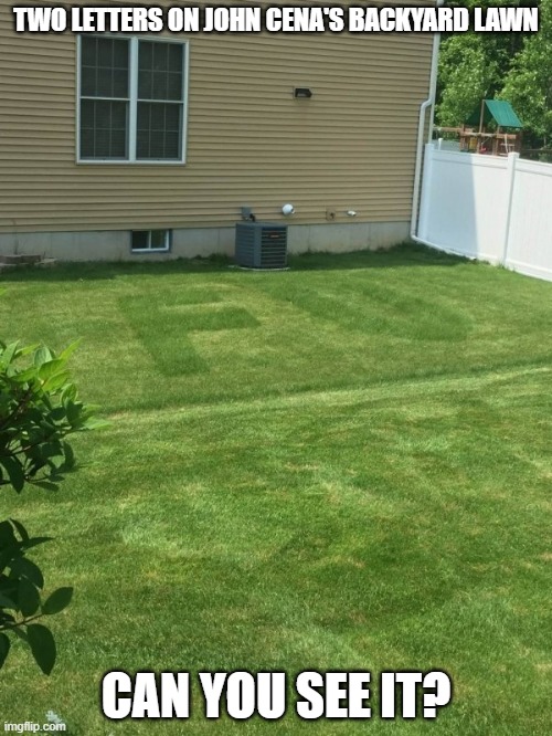 TWO LETTERS ON JOHN CENA'S BACKYARD LAWN; CAN YOU SEE IT? | image tagged in dirty mind,wrestler | made w/ Imgflip meme maker
