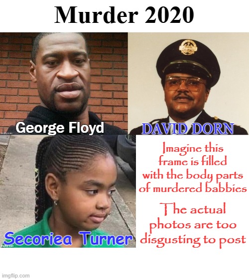 Murder 2020 | Murder 2020; George Floyd; DAVID DORN; Imagine this frame is filled with the body parts of murdered babbies; The actual photos are too disgusting to post; Secoriea Turner | image tagged in floyd,turner,dorn | made w/ Imgflip meme maker