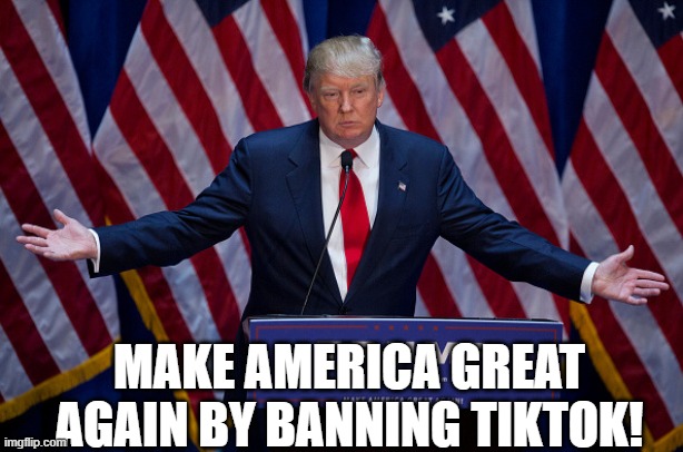 Donald Trump | MAKE AMERICA GREAT AGAIN BY BANNING TIKTOK! | image tagged in donald trump | made w/ Imgflip meme maker