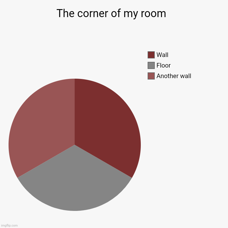 The corner of my room  | Another wall, Floor , Wall | image tagged in charts,pie charts | made w/ Imgflip chart maker