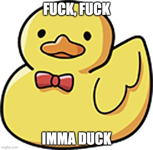 Imma Duck | FUCK, FUCK; IMMA DUCK | image tagged in duck | made w/ Imgflip meme maker