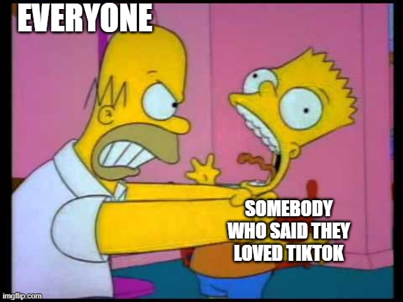 Everyone including me | EVERYONE; SOMEBODY WHO SAID THEY LOVED TIKTOK | image tagged in homer chokes bart | made w/ Imgflip meme maker