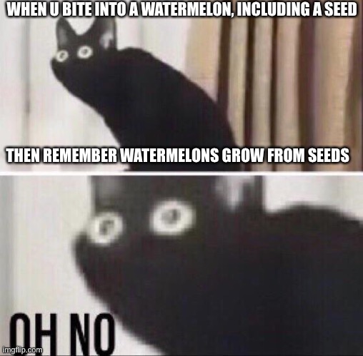 Common childhood beliefs in a nutshell | WHEN U BITE INTO A WATERMELON, INCLUDING A SEED; THEN REMEMBER WATERMELONS GROW FROM SEEDS | image tagged in oh no cat | made w/ Imgflip meme maker