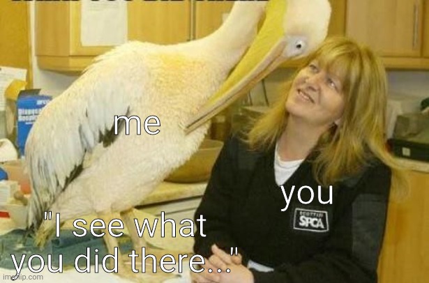 I see what you did there Pelican | "I see what you did there..." you me | image tagged in i see what you did there pelican | made w/ Imgflip meme maker