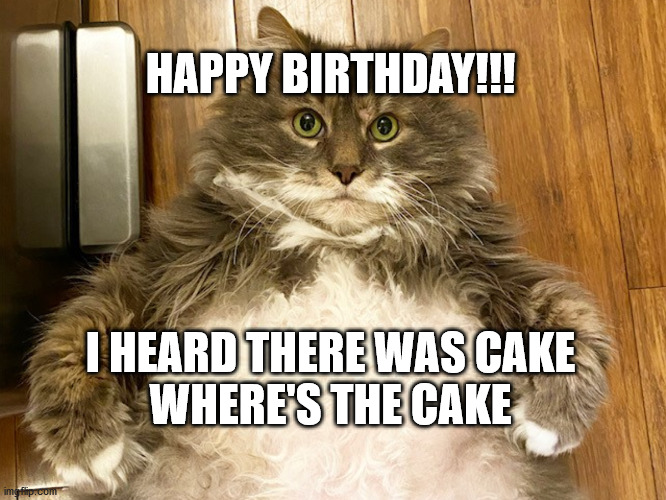 I Heard there was Cake | HAPPY BIRTHDAY!!! I HEARD THERE WAS CAKE
WHERE'S THE CAKE | image tagged in happy birthday | made w/ Imgflip meme maker