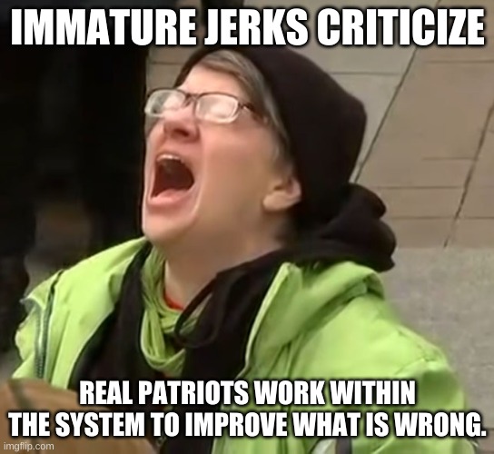 snowflake | IMMATURE JERKS CRITICIZE REAL PATRIOTS WORK WITHIN THE SYSTEM TO IMPROVE WHAT IS WRONG. | image tagged in snowflake | made w/ Imgflip meme maker
