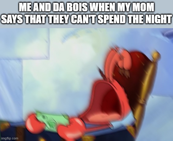 Mr Krabs Loud Crying | ME AND DA BOIS WHEN MY MOM SAYS THAT THEY CAN'T SPEND THE NIGHT | image tagged in mr krabs loud crying,i'm 15 so don't try it,who reads these | made w/ Imgflip meme maker