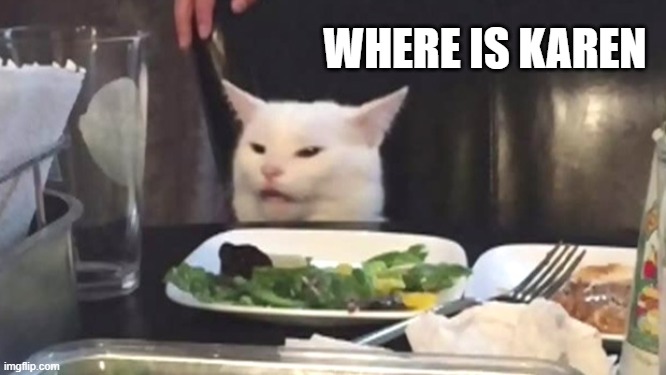 Where's Karen |  WHERE IS KAREN | image tagged in woman yelling at cat | made w/ Imgflip meme maker