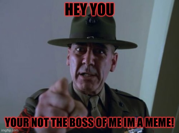 Sergeant Hartmann Meme |  HEY YOU; YOUR NOT THE BOSS OF ME IM A MEME! | image tagged in memes,sergeant hartmann | made w/ Imgflip meme maker