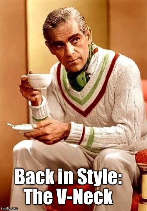 Back in Style:
The V-Neck | made w/ Imgflip meme maker