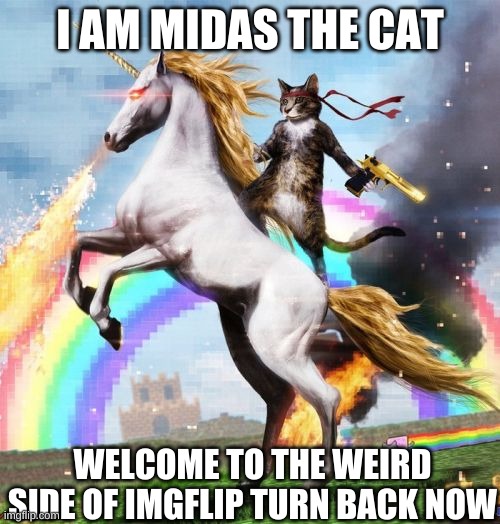 Welcome To The Internets Meme | I AM MIDAS THE CAT; WELCOME TO THE WEIRD SIDE OF IMGFLIP TURN BACK NOW | image tagged in memes,welcome to the internets | made w/ Imgflip meme maker