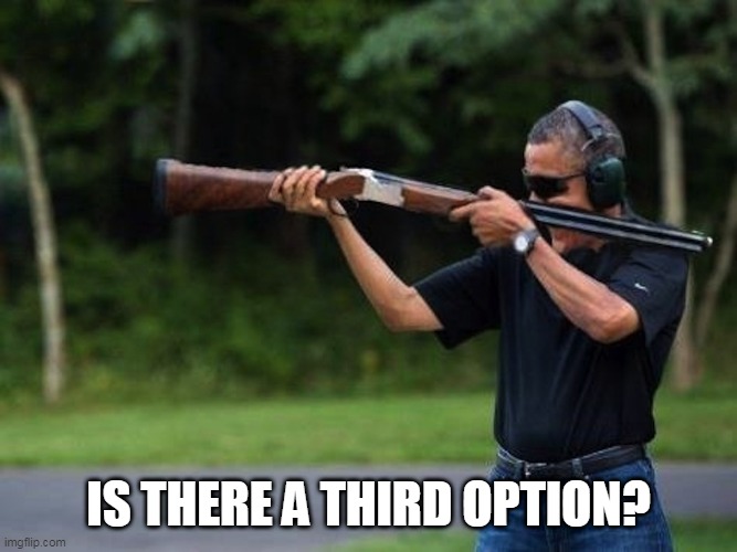 IS THERE A THIRD OPTION? | made w/ Imgflip meme maker