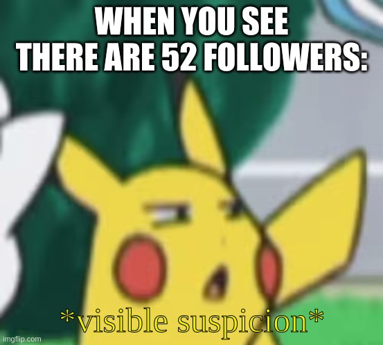 Visible Suspicion | WHEN YOU SEE THERE ARE 52 FOLLOWERS: | image tagged in visible suspicion | made w/ Imgflip meme maker