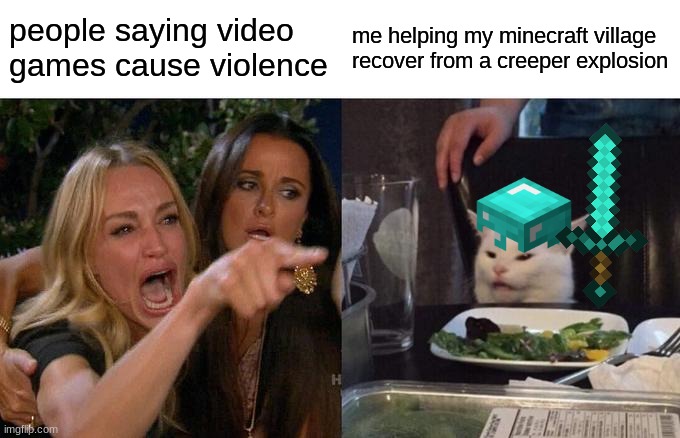 I actually did help my Minecraft village recover from a creeper attack | people saying video games cause violence; me helping my minecraft village recover from a creeper explosion | image tagged in memes,woman yelling at cat,minecraft | made w/ Imgflip meme maker