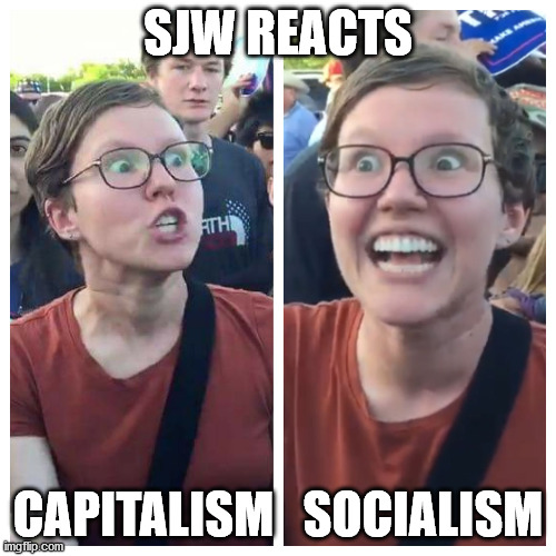 SJW Reacts | SJW REACTS; CAPITALISM   SOCIALISM | image tagged in social justice warrior hypocrisy | made w/ Imgflip meme maker