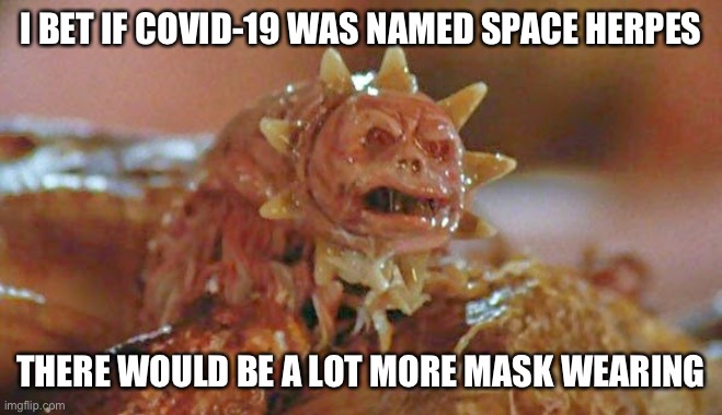Space Herpes | I BET IF COVID-19 WAS NAMED SPACE HERPES; THERE WOULD BE A LOT MORE MASK WEARING | image tagged in space herpes,covid-19,covid19,herpes,donald trump,trump | made w/ Imgflip meme maker
