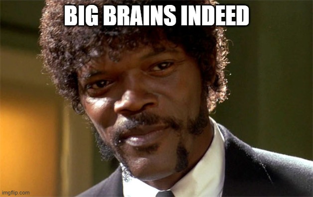 Samuel l jackson check out the big brain | BIG BRAINS INDEED | image tagged in samuel l jackson check out the big brain | made w/ Imgflip meme maker