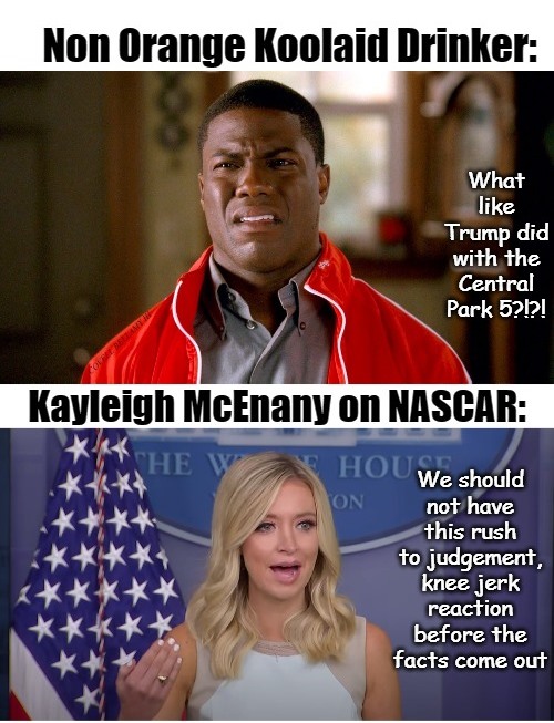 High Quality Kayleigh McEnany Not Rush To Judgement Like Trump Central Park 5 Blank Meme Template