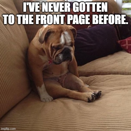 bulldogsad | I'VE NEVER GOTTEN TO THE FRONT PAGE BEFORE. | image tagged in bulldogsad | made w/ Imgflip meme maker
