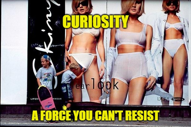 Curiosity | CURIOSITY; A FORCE YOU CAN'T RESIST | image tagged in memes,fun,funny,just a peek,2020 | made w/ Imgflip meme maker