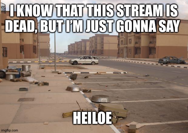 Ghost town | I KNOW THAT THIS STREAM IS DEAD, BUT I’M JUST GONNA SAY; HEILOE | image tagged in ghost town | made w/ Imgflip meme maker