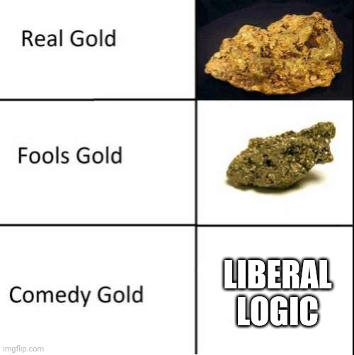 Comedy Gold | LIBERAL LOGIC | image tagged in liberal logic | made w/ Imgflip meme maker