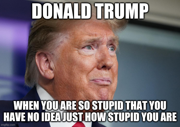 Trump | DONALD TRUMP; WHEN YOU ARE SO STUPID THAT YOU HAVE NO IDEA JUST HOW STUPID YOU ARE | image tagged in donald trump,special kind of stupid | made w/ Imgflip meme maker