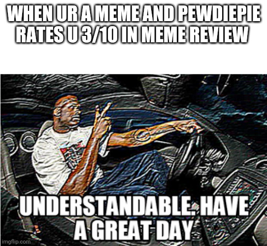 UNDERSTANDABLE, HAVE A GREAT DAY | WHEN UR A MEME AND PEWDIEPIE RATES U 3/10 IN MEME REVIEW | image tagged in understandable have a great day | made w/ Imgflip meme maker